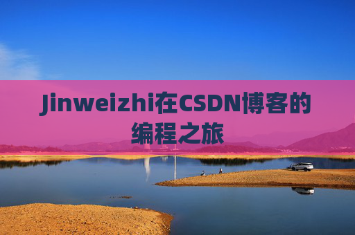 Jinweizhi在CSDN博客的编程之旅